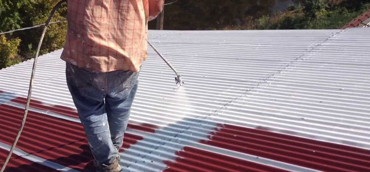 Metal Roof Repair Lake Balboa